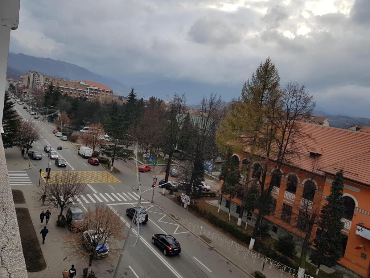 Garsoniera Mihaela Daire Petroşani Dış mekan fotoğraf